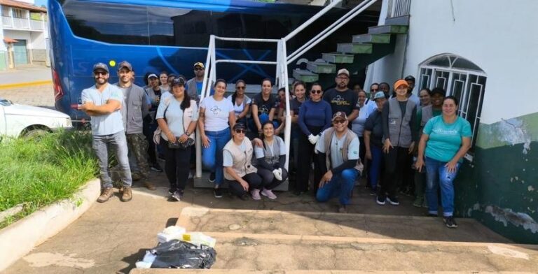 Mutirões eliminam focos da dengue