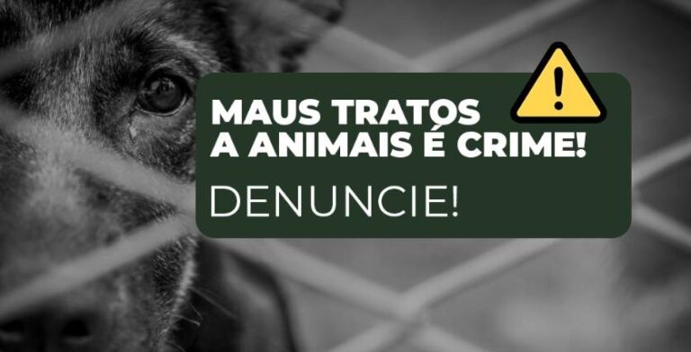 Denúncia de maus-tratos contra animais